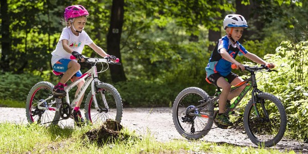 Get the right fit - Adjust the handlebar height